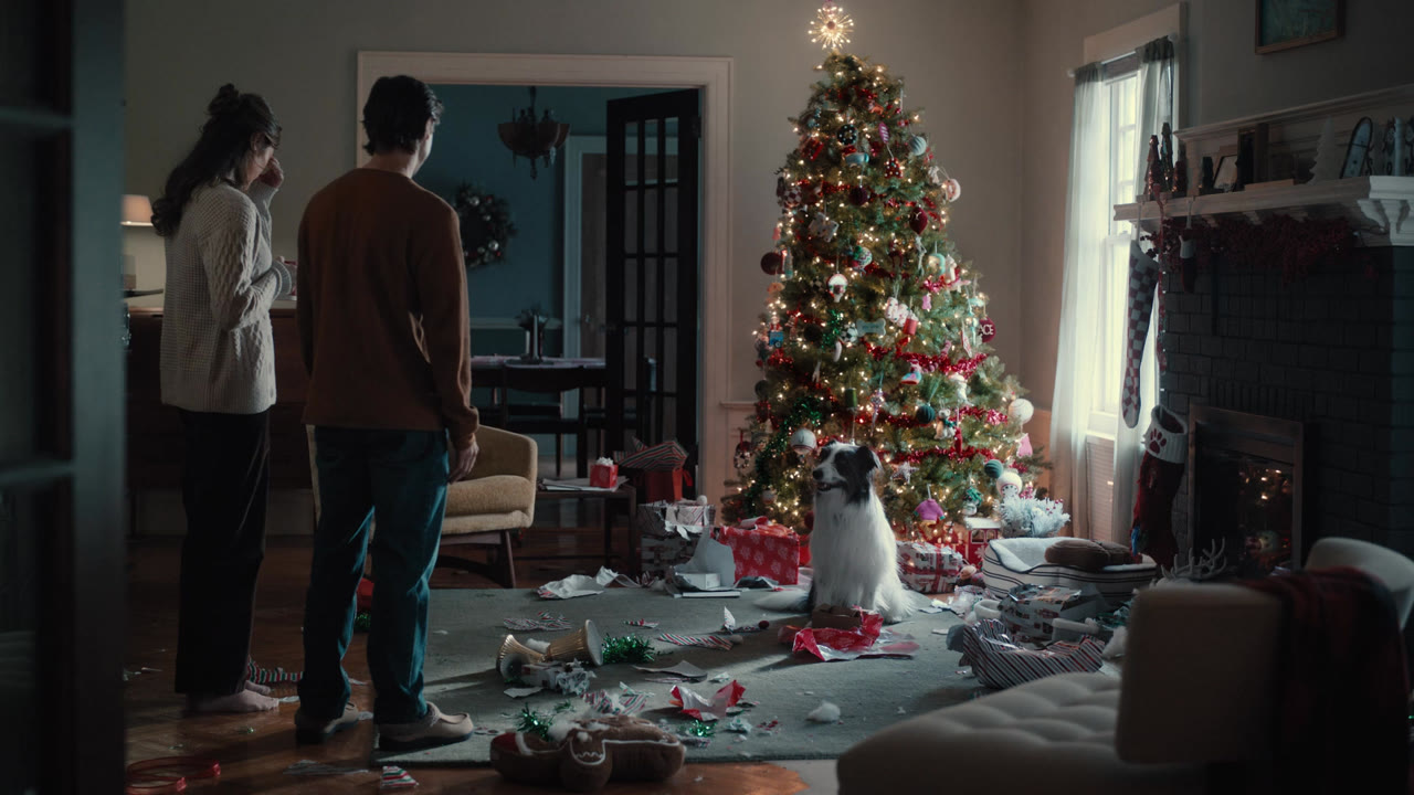 Kohl's Holiday '24